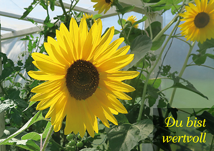 2562072_edkuk wertvoll