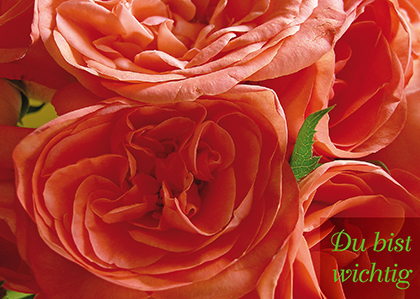 2563072_edkuk wichtig