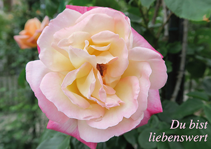 2564072_edkuk liebenswert